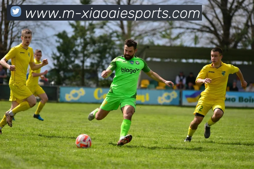 App Interface Preview