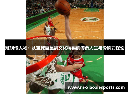 姚明传人物：从篮球巨星到文化桥梁的传奇人生与影响力探索