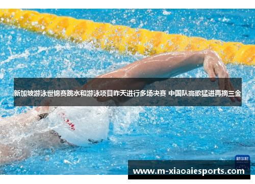 新加坡游泳世锦赛跳水和游泳项目昨天进行多场决赛 中国队高歌猛进再摘三金